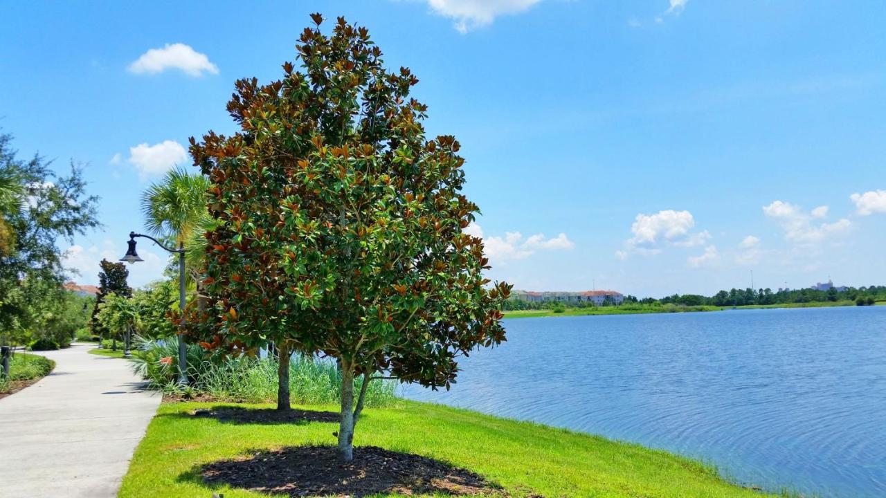 Florida Palms Villa Orlando Dış mekan fotoğraf